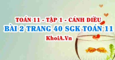 Bài 2 trang 40 SGK Toán 11 tập 1 Cánh Diều